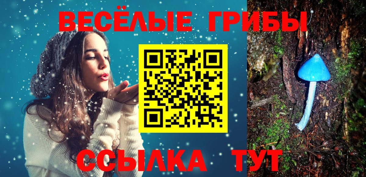 Ишим  Галлюциногенные грибы мицелий  где купить   Вход с VPN 